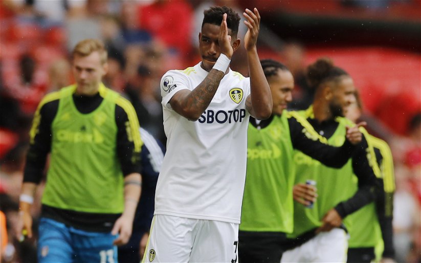 Image for Premier League journeyman offers verdict on Leeds United’s impressive summer signing