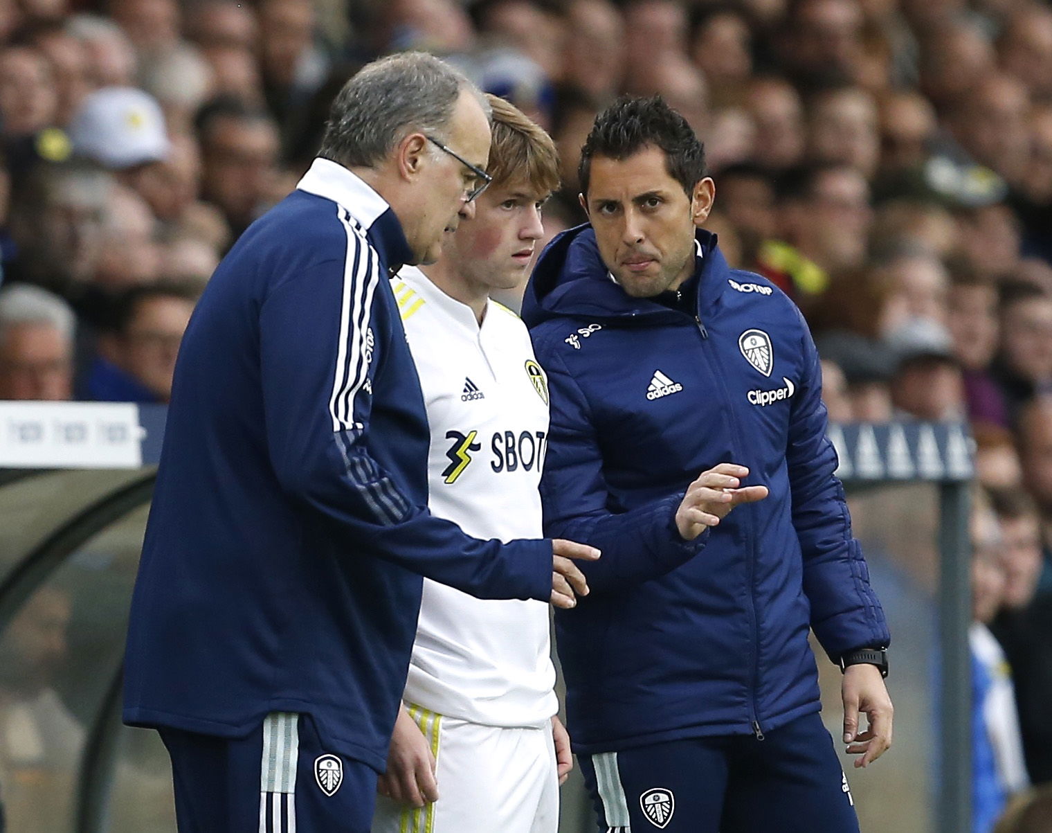  ‘How’, ‘Made of glass’ – Many Leeds United fans unhappy as more injury news emerges