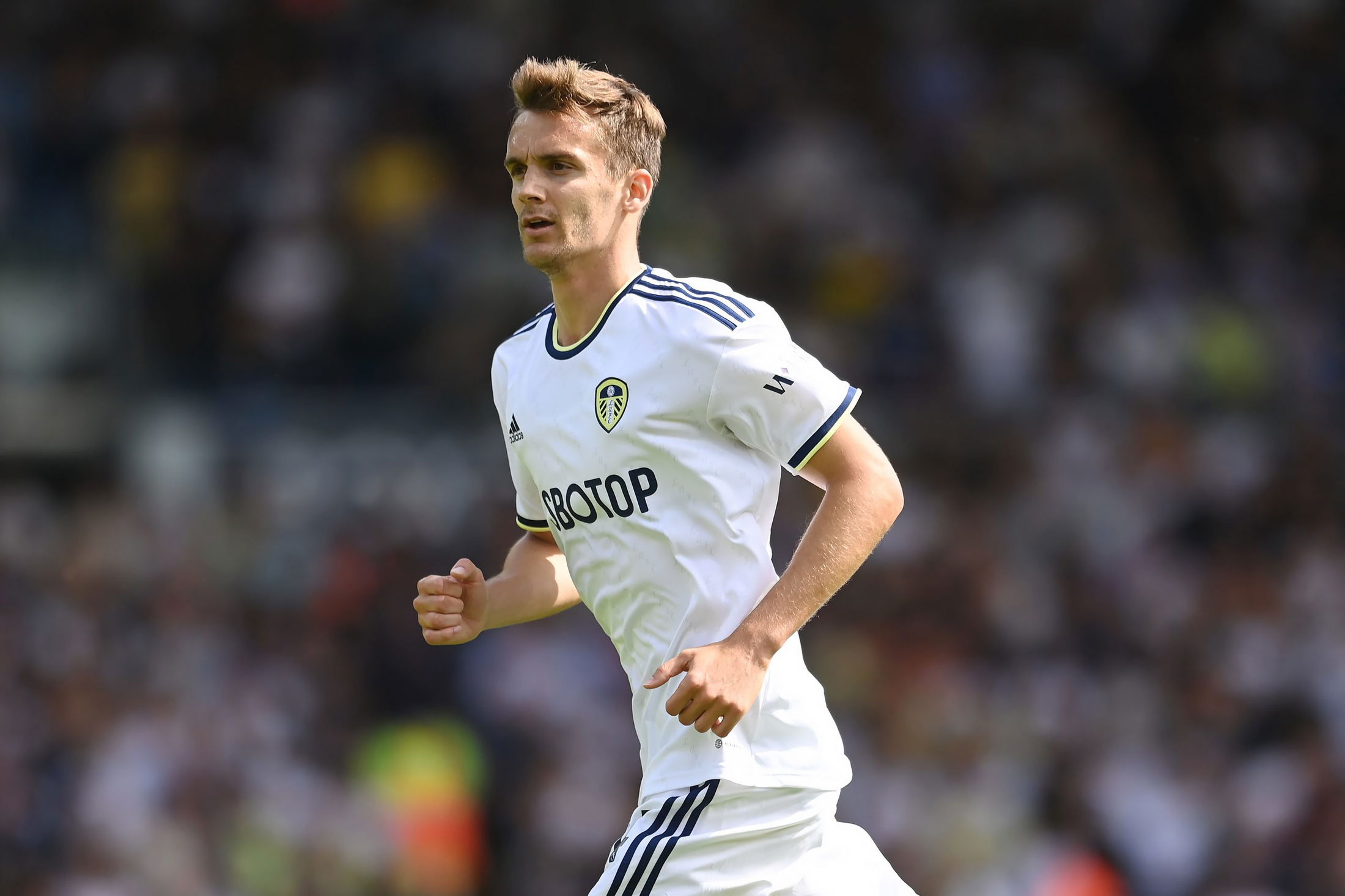 Leeds United have 30-year loan and permanent offer on the table – Report