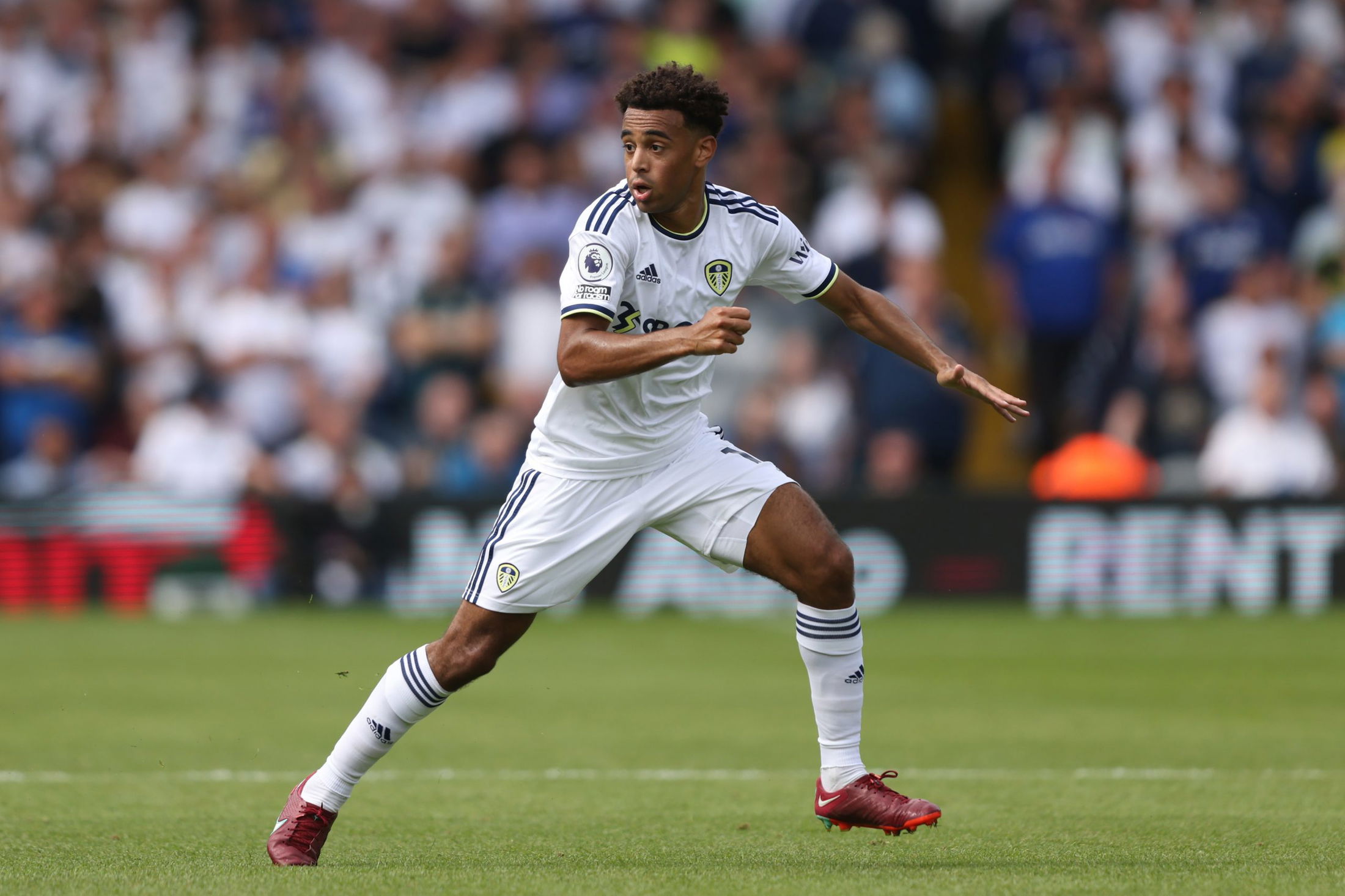 Tyler Adams #12 of Leeds United controls the ball in midfield during the  Premier League match Leeds United vs Brighton and Hove Albion at Elland  Road, Leeds, United Kingdom, 11th March 2023 (