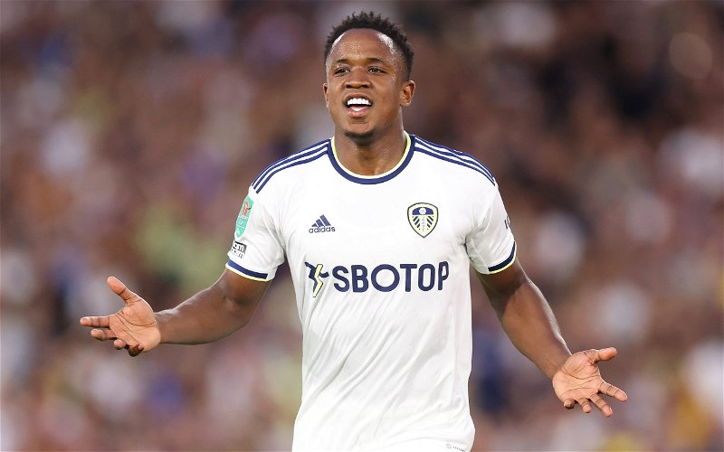 Image for Pundit makes exciting claim on Leeds United summer signing after international exploits