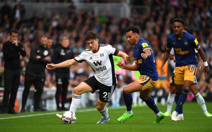 Image for How is Dan James’ loan at Fulham going? Is the Leeds United outcast doing well under Marco Silva? All the latest…