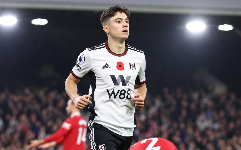 Image for Decision on Dan James’ Fulham future appears to be made amid Leeds United loan