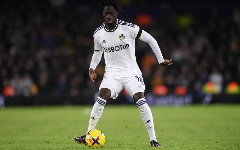 Image for Delight at Leeds United as £5million ace continues to impress – Our View