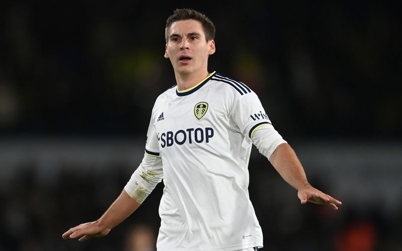 Image for Spotted: Sky Sports reveal Leeds United man avoids injury scare following Cardiff win