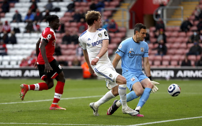 Image for Quiz: These players have played for both Leeds United and Southampton – True or False?