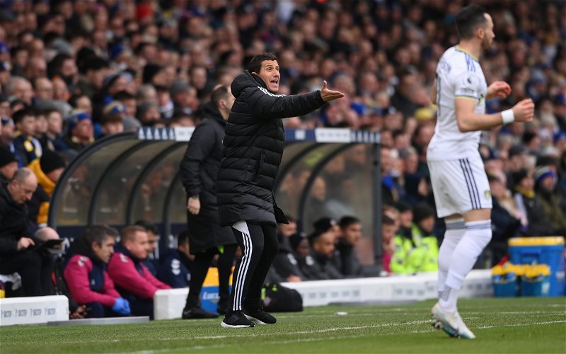 Image for 2 Leeds United players we can see thriving under Javi Gracia despite small sample size 