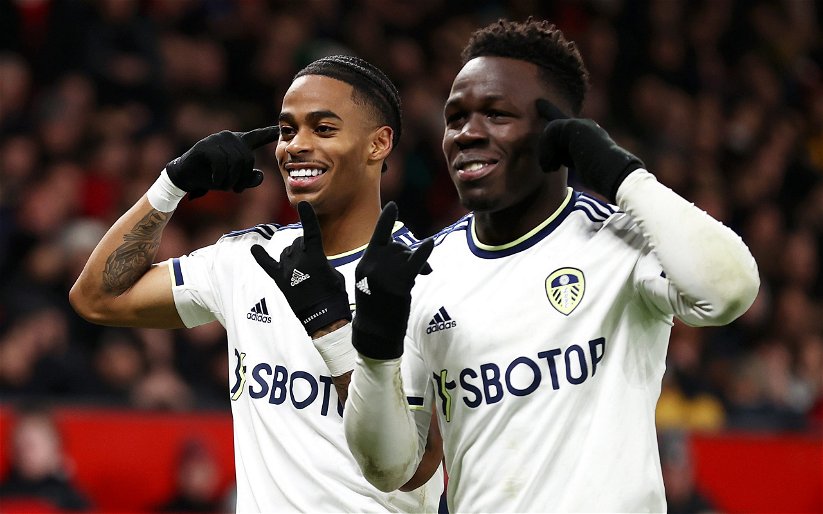 Image for Nothing to lose: Sam Allardyce must start this exciting Leeds United pair v Spurs – View