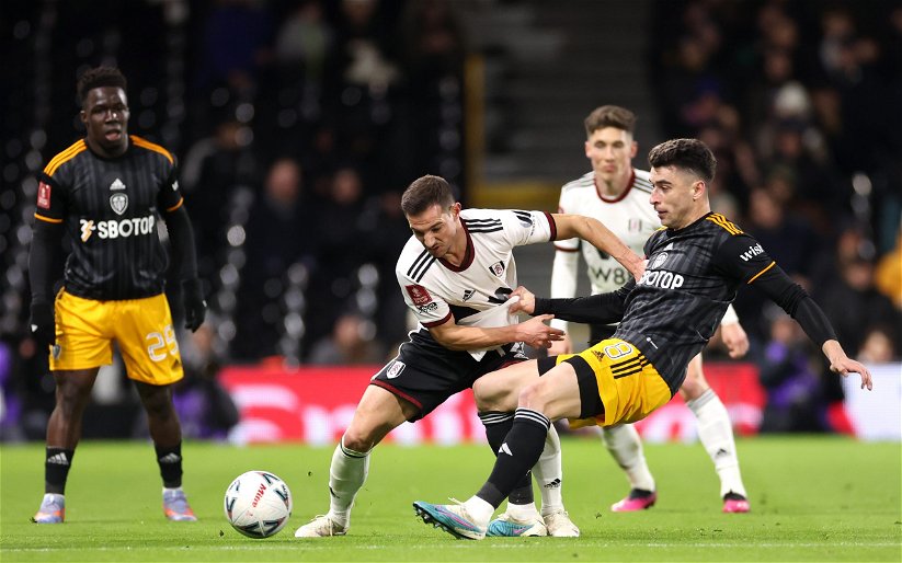 Image for “Worrying times” – Sky Sports pundit predicts Fulham v Leeds United
