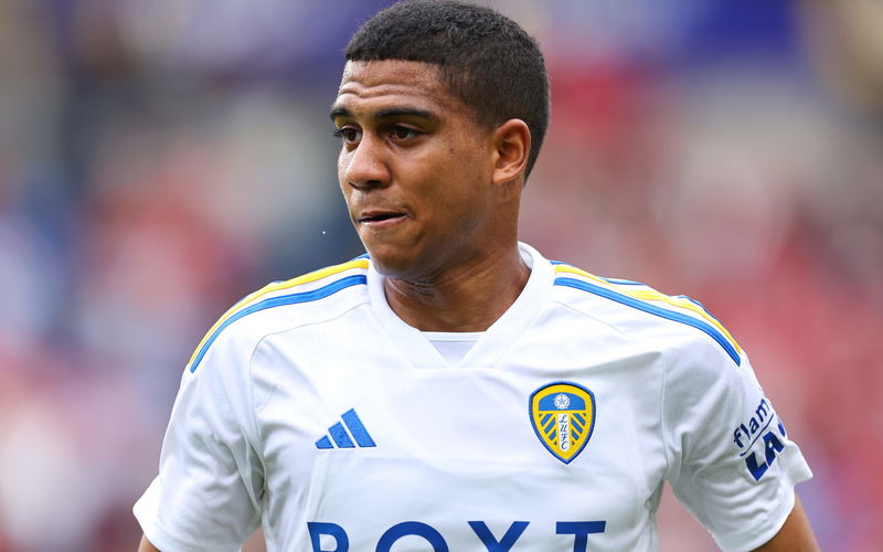 Confirmed loan agreement should offer huge double boost for Leeds United  21-y/o ace - View - LeedsAllOver