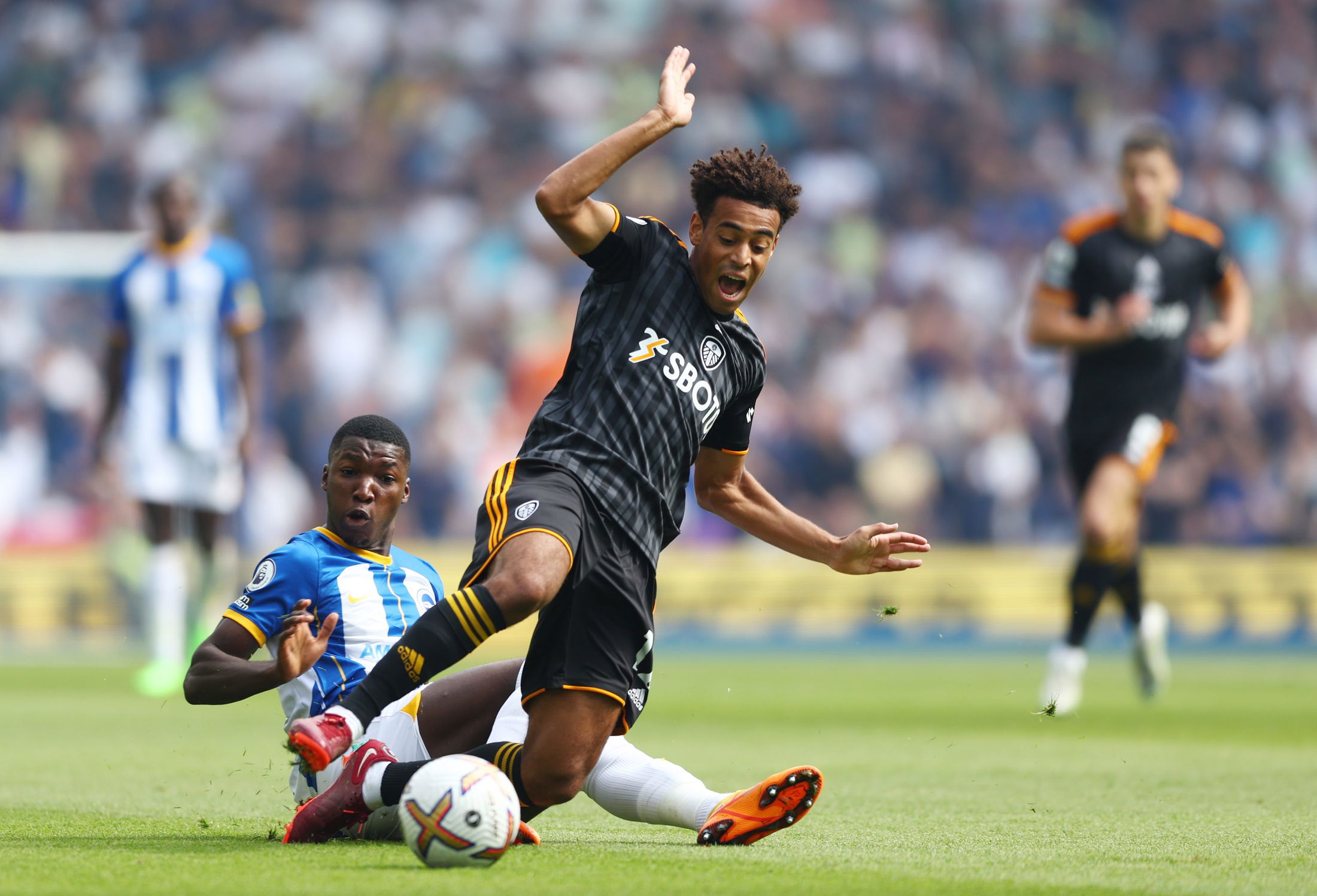 Tyler Adams set for Leeds stay after release clause expires - The Leeds  Press