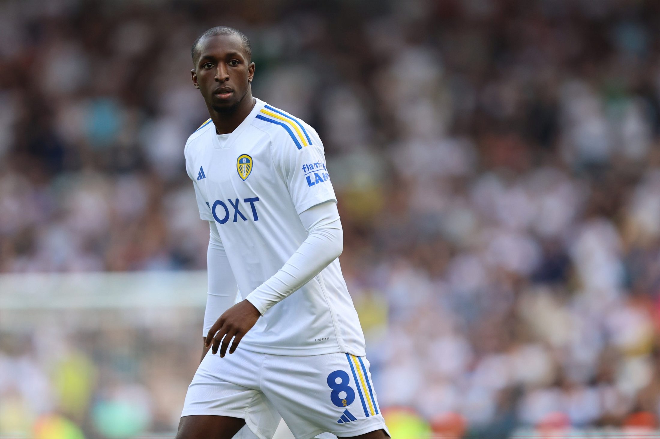 What a player': Georginio Rutter wowed by Leeds United midfielder