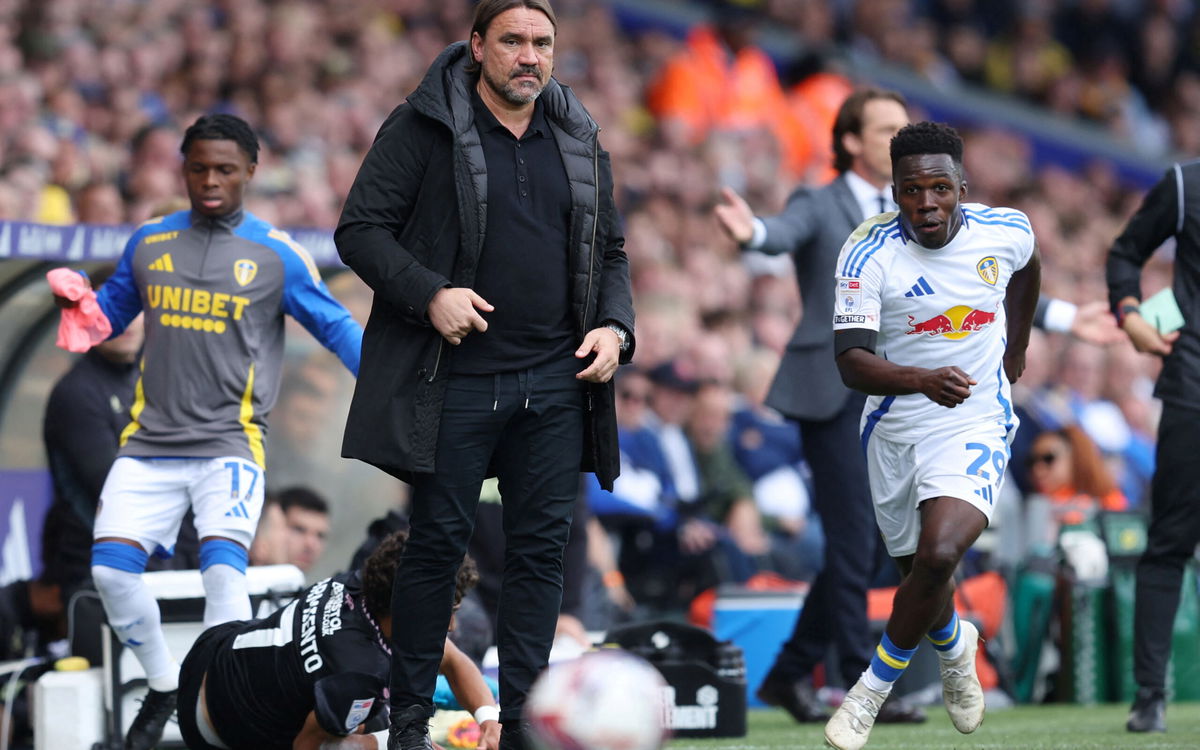 Daniel Farke needs to stop wasting £10m Leeds United star after