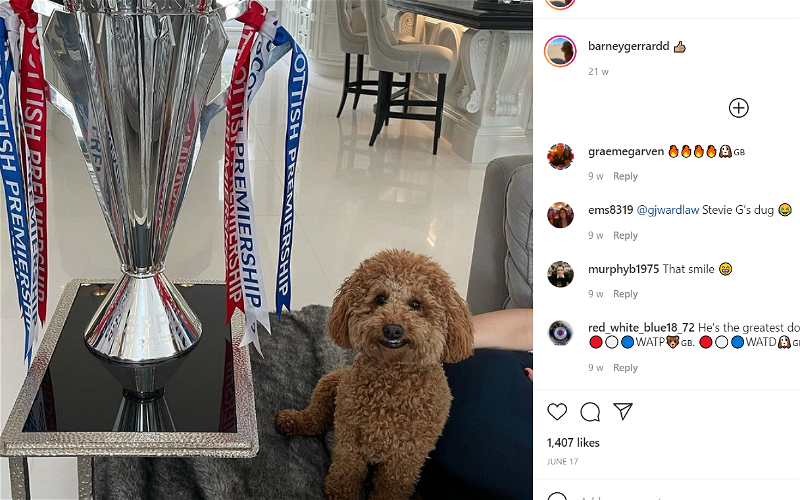 Image for Banter years: Sevco fans rush Gerrard’s dogs Instagram with pleas for him to stay!