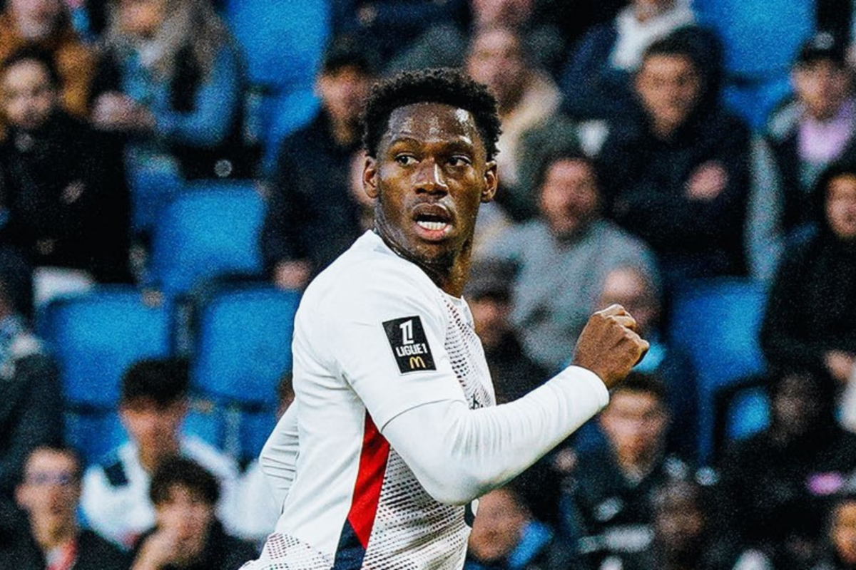 DAVID インスト　　PSG PSG / DAVID - ZAKAI Store