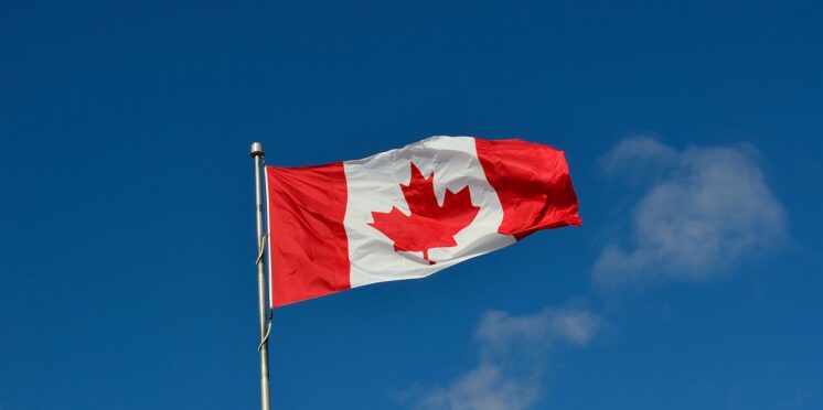 immigration canada maplemind Photo de l'article