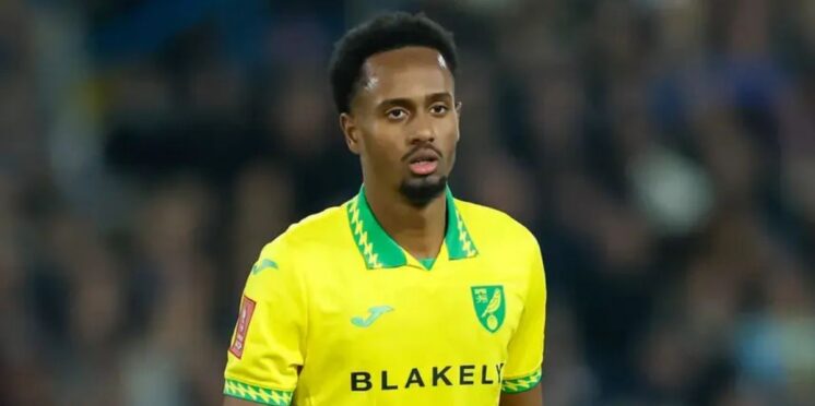 Canada Winger Ali Ahmed Injured In Preseason Friendly canada-winger-ali-ahmed-injured-in-preseason-friendly