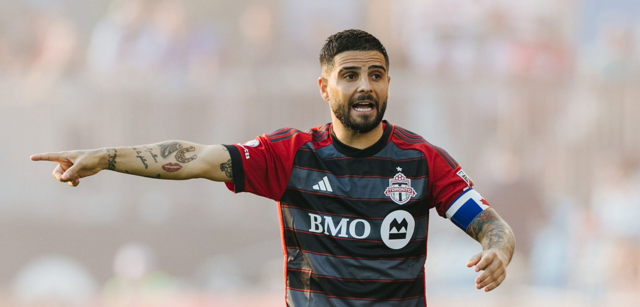 TEAM — Hivewild, image size:2200x1055