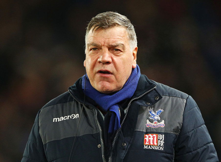 Crystal Palace v Bolton Wanderers - The Emirates FA Cup Third Round Replay Ian Walton/Getty Images Sport