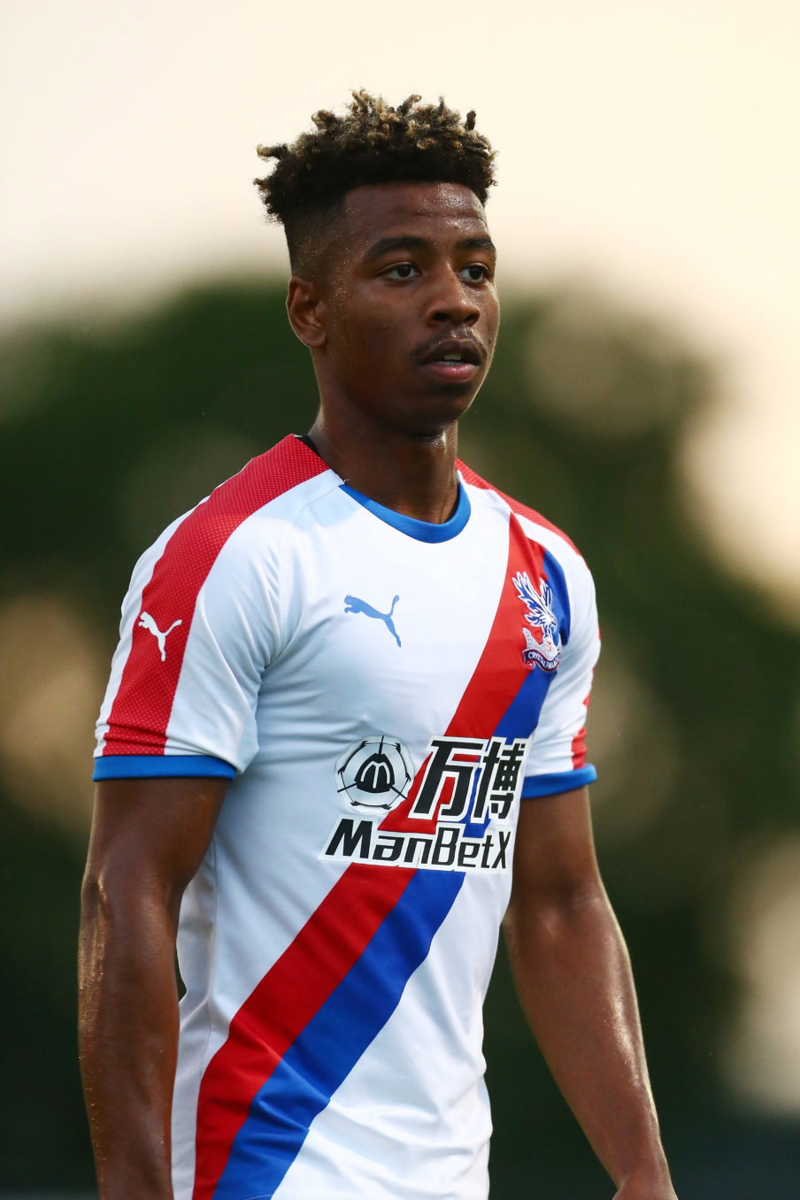 Kingstonian v Crystal Palace - Pre-Season Friendly Jordan Mansfield/Getty Images Sport