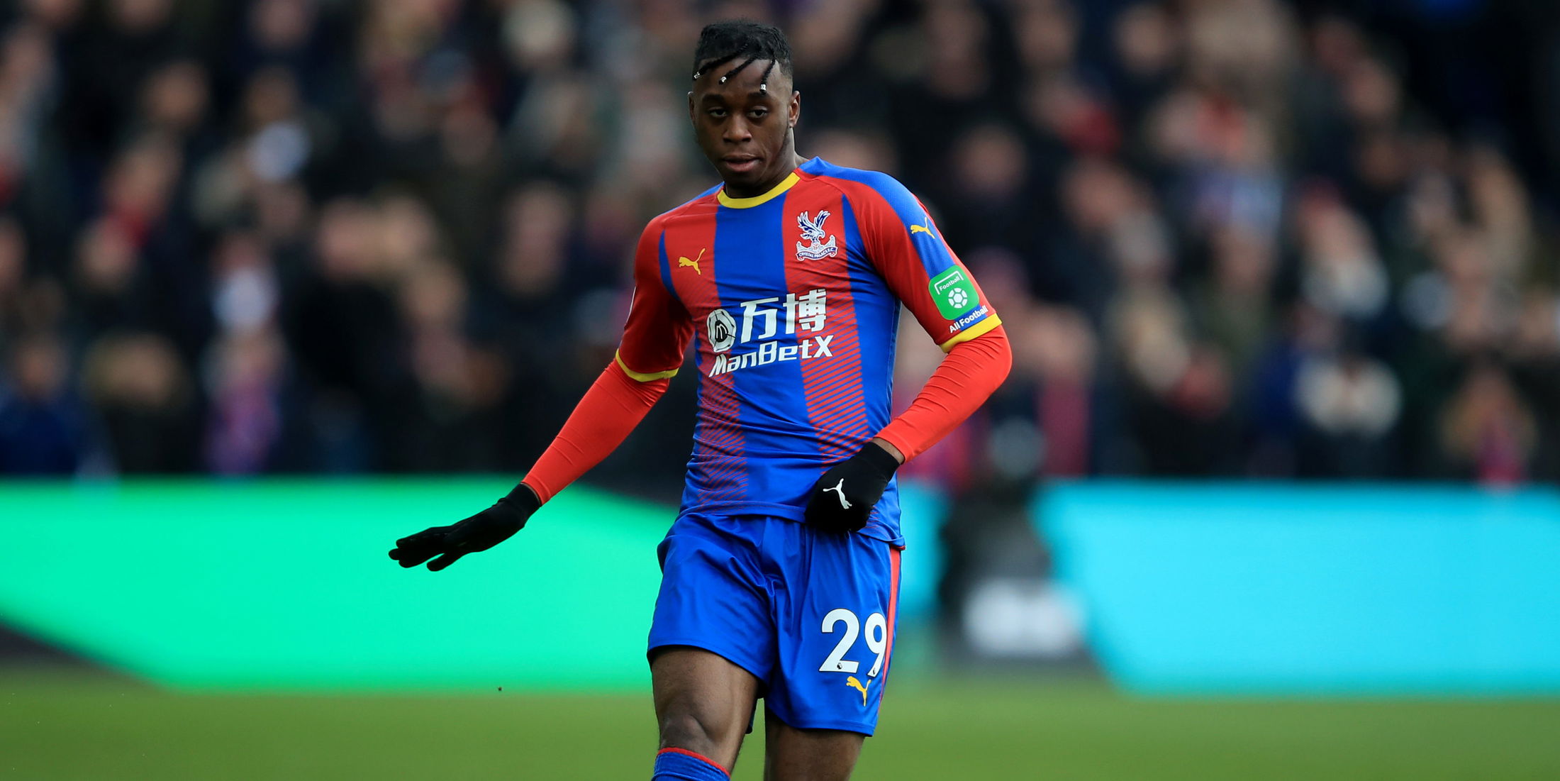 Crystal Palace v Fulham FC - Premier League Marc Atkins/Getty Images Sport