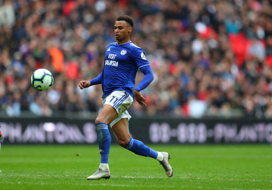Tottenham Hotspur v Cardiff City - Premier League Catherine Ivill/Getty Images Sport