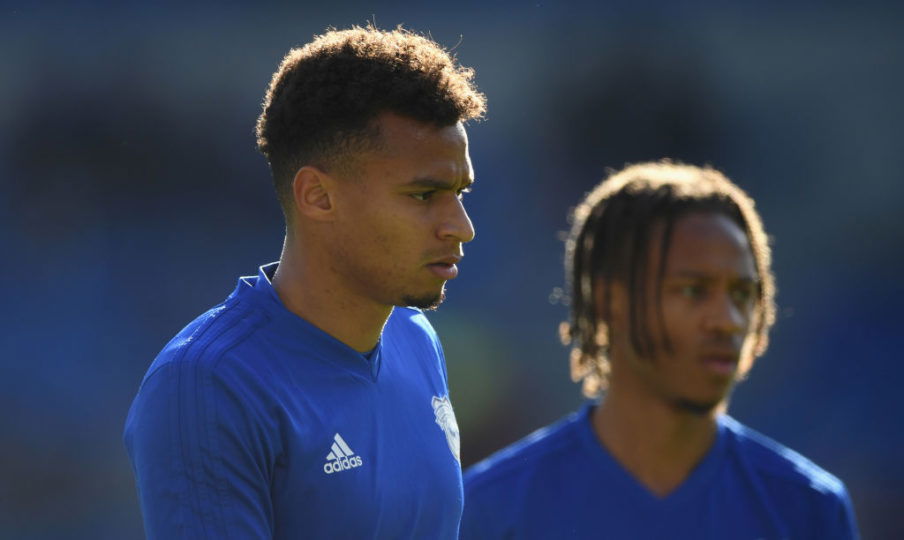 Cardiff City v Fulham FC - Premier League Stu Forster/Getty Images Sport