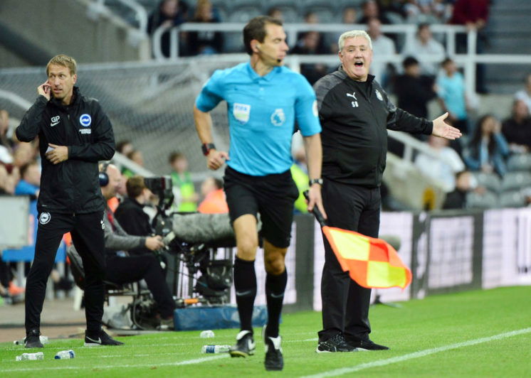 Newcastle United v Brighton & Hove Albion - Premier League Mark Runnacles/Getty Images Sport
