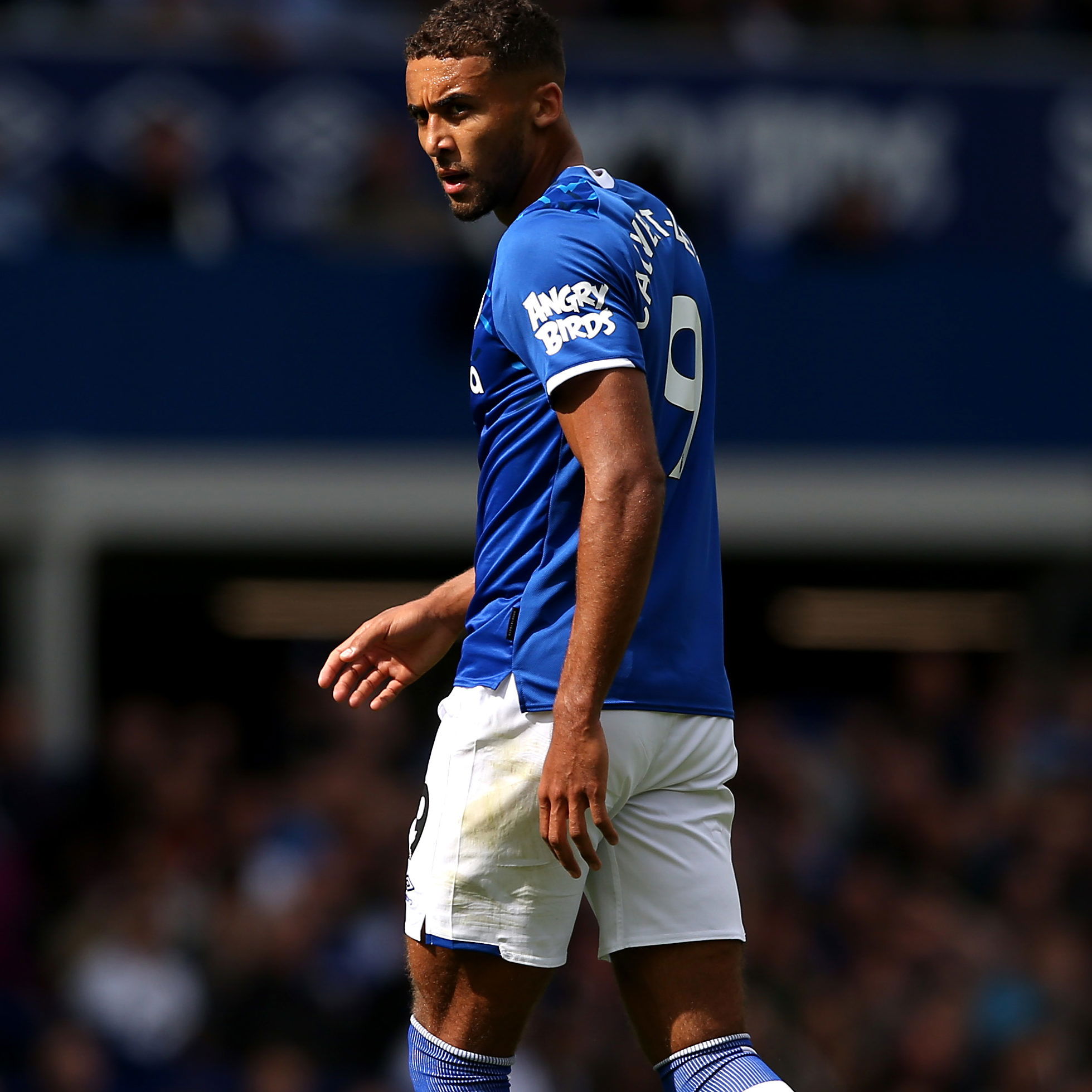 Cottee doubts DCL can deliver Everton enough goals - why ...