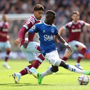Idrissa Gana Gueye in action for Everton