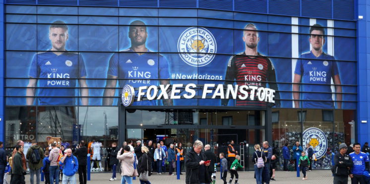 foxes fanstore