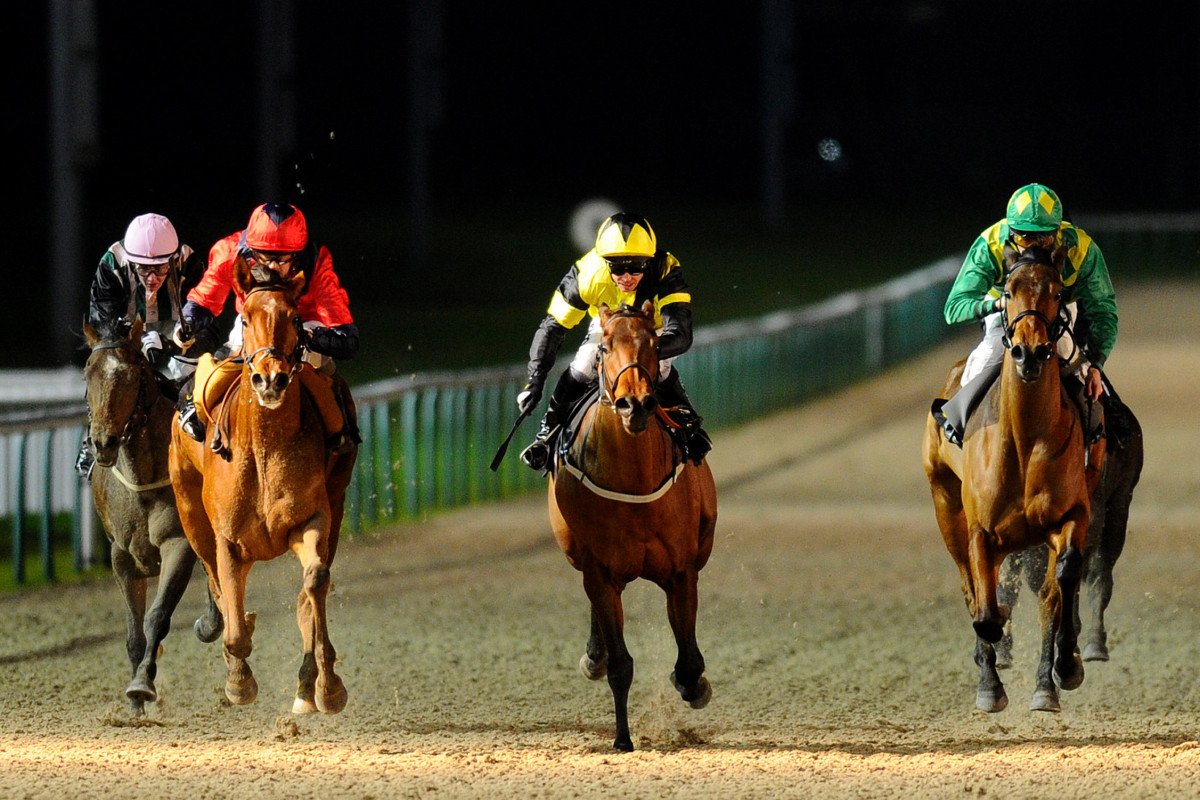 horse racing tips        <h3 class=
