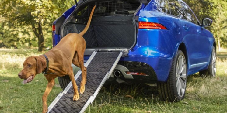 Dog-friendly Jaguar F-Pace