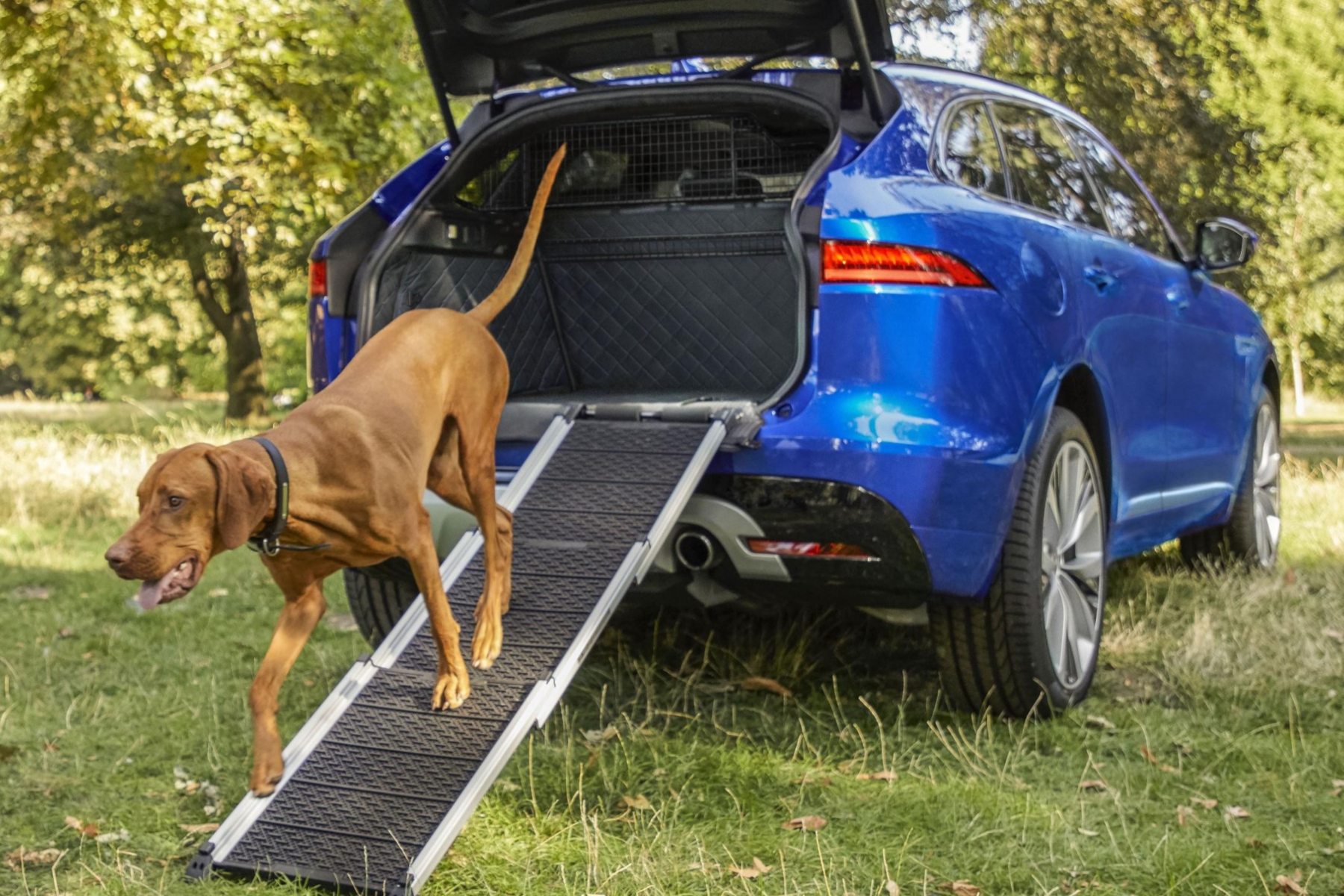 jaguar i pace dog guard