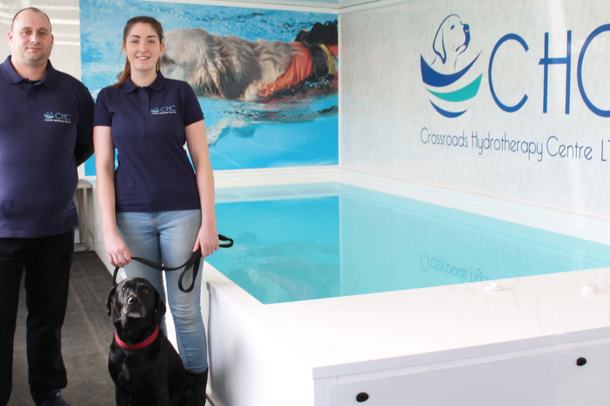 Certified pet Hydrotherapy Centre to open near Milton Keynes CitiBlog
