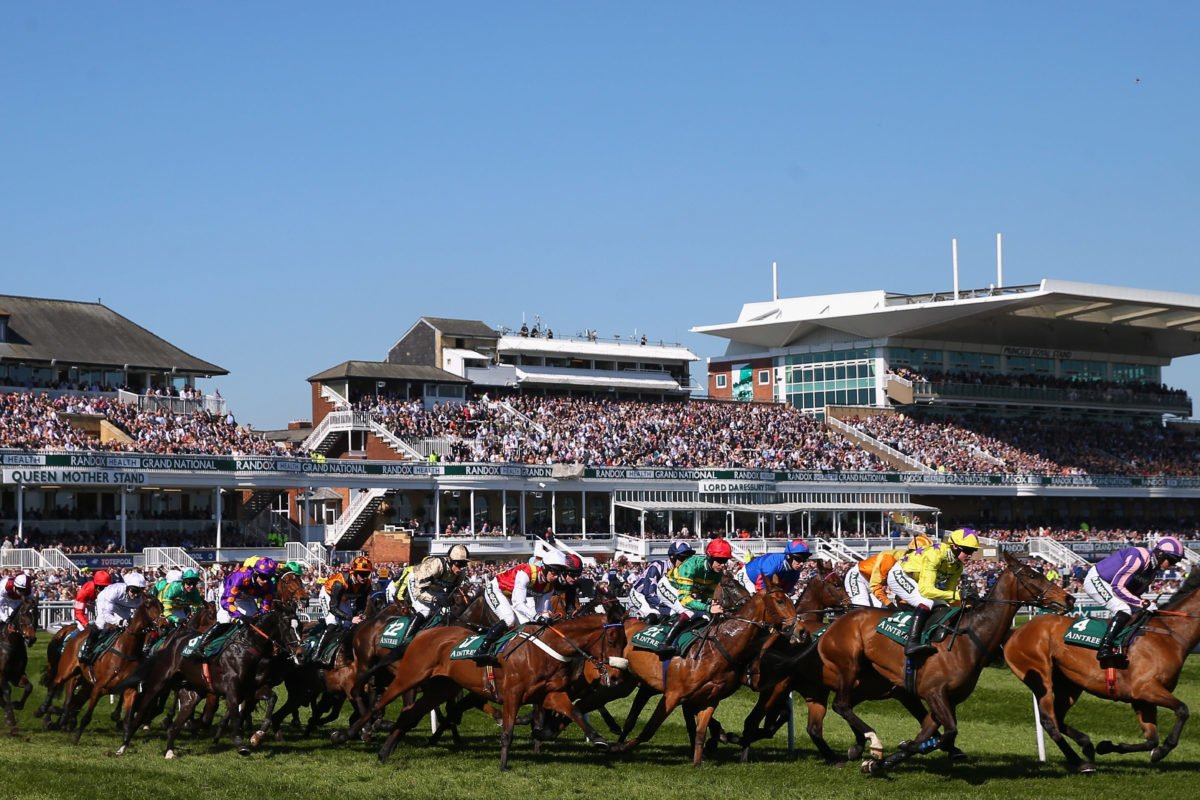 Revealed - The Five Horses worth betting on in the Grand National - Read Ho...