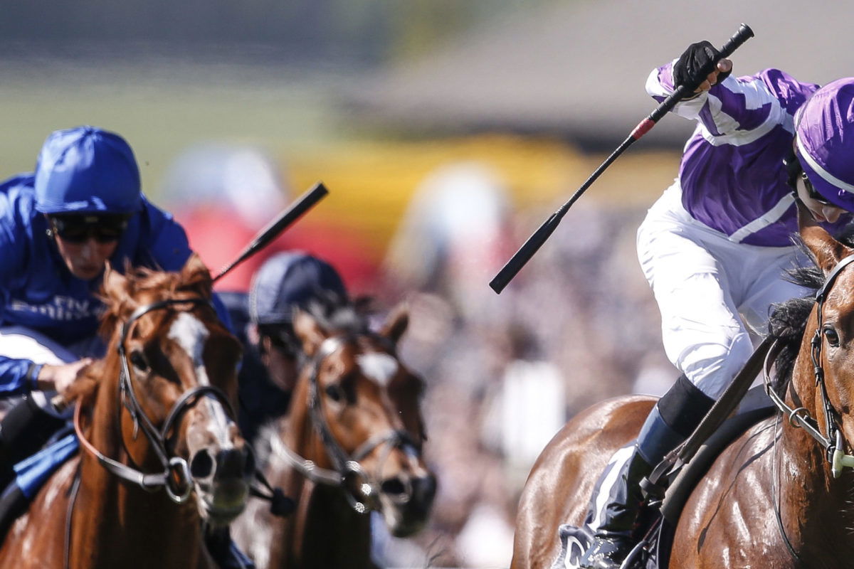 Saxon Warrior leading the way in Epsom Derby runners Read Horse Racing